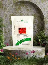 بذر گوجه فرنگی پارلین