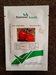 پربارترین بذر گوجه ماروان