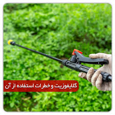 سم علف‌کش گلایفوزیت