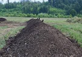 طریقه شیره کردن کود مرغی