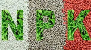نقش NPK در تغذیه گوجه
