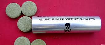 خطرات قرص برنج برای کشاورزان