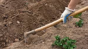 ویروس در خاک مزارع