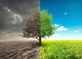 تنش رطوبت بر محصولات کشاورزی