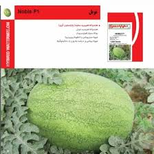 بذر هندوانه نوبل