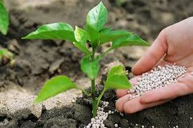 استفاده بیش از اندازه کود در بخش کشاورزی