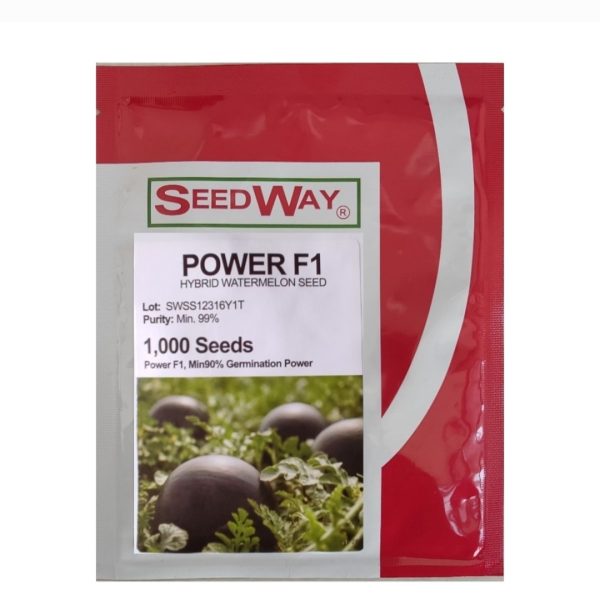 بذر هندوانه پاور