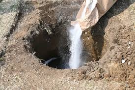 زمان چالکود انگور