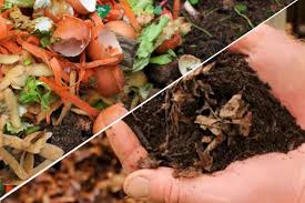 ایا برگ پوسیده کود حساب میشود